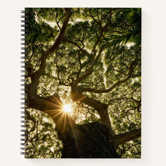 Banyan Tree Canopy Sunstar Notebook (Front)