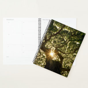Banyan Tree Canopy Sunstar Planner