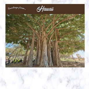 Banyan Tree Queens Beach In Honolulu Oahu Hawaii Postcard