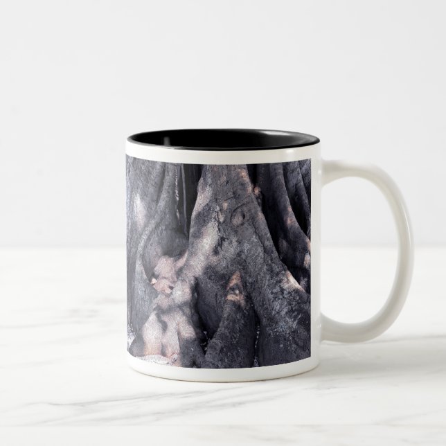 Banyan Tree Two-Tone Coffee Mug (Right)