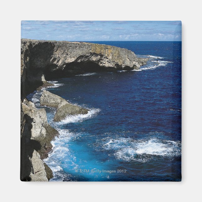 Banzai Cliff Magnet (Front)