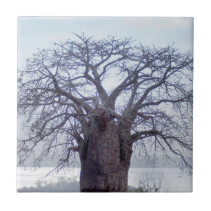 Baobab (Adansonia Digitata), Luanda Tile