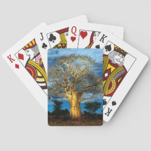 Baobab (Adansonia) Tree Light Up By The Moon Playing Cards