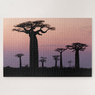 Baobab Alley', Madagascar, Morondava, Africa, Jigsaw Puzzle