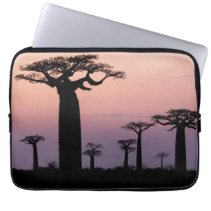 Baobab Alley', Madagascar, Morondava, Africa, Laptop Sleeve