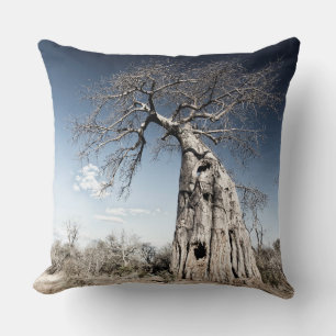 Baobab Tree at Mana Pools National Park, Zimbabwe Cushion