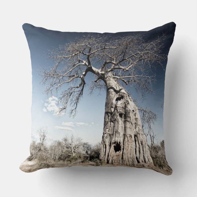 Baobab Tree at Mana Pools National Park, Zimbabwe Cushion (Front)