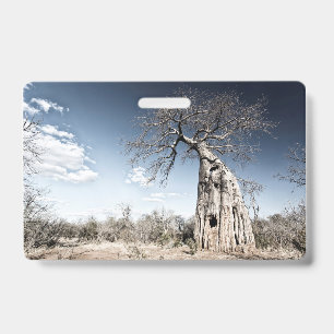 Baobab Tree at Mana Pools National Park, Zimbabwe. ID Badge