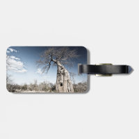 Baobab Tree at Mana Pools National Park, Zimbabwe