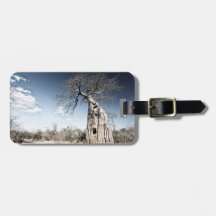 Baobab Tree at Mana Pools National Park, Zimbabwe.