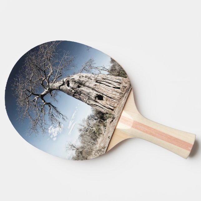 Baobab Tree at Mana Pools National Park, Zimbabwe Ping Pong Paddle (Side)