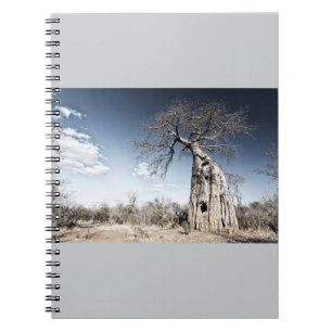 Baobab Tree at Mana Pools National Park, Zimbabwe Spiral Notebook