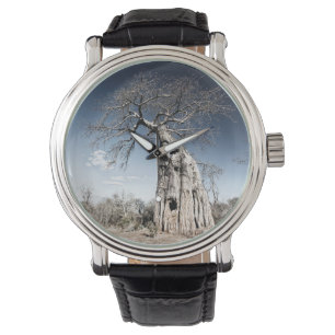 Baobab Tree at Mana Pools National Park, Zimbabwe Watch