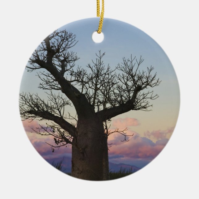 Baobab trees, Berenty, Toliara, Madagascar Ceramic Tree Decoration (Front)