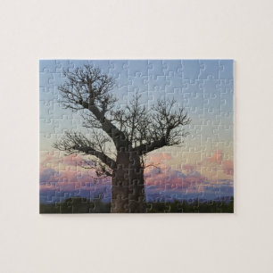 Baobab trees, Berenty, Toliara, Madagascar Jigsaw Puzzle