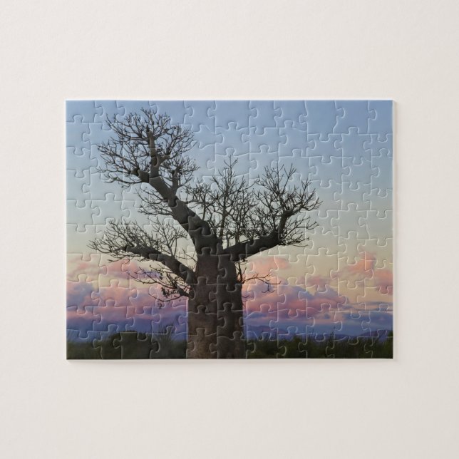 Baobab trees, Berenty, Toliara, Madagascar Jigsaw Puzzle (Horizontal)