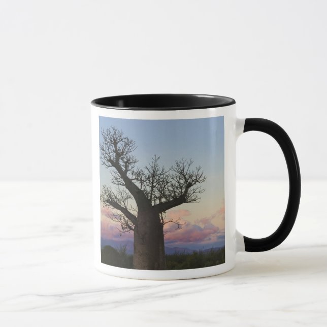 Baobab trees, Berenty, Toliara, Madagascar Mug (Right)