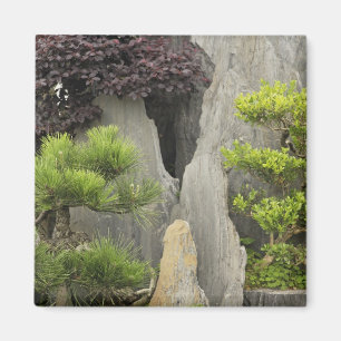 Bao's family garden, Huangshan, China. 2 Magnet