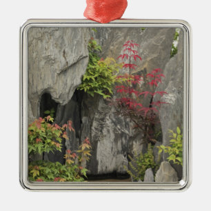 Bao's family garden, Huangshan, China. Metal Tree Decoration