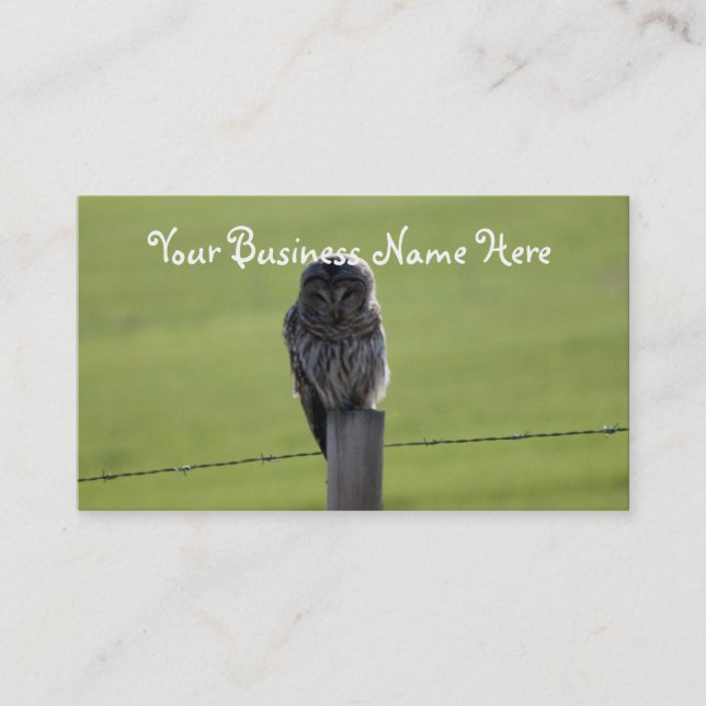 BAOW Barred Owl Business Card (Front)