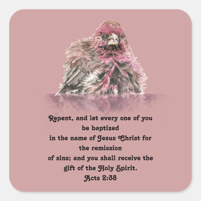 Baptism Scripture Acts 2:38 Cute Wet Finch Bird Square Sticker (Front)