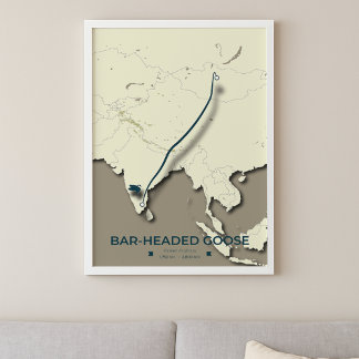 Bar-headed Goose Migration Map – Minimalist Poster