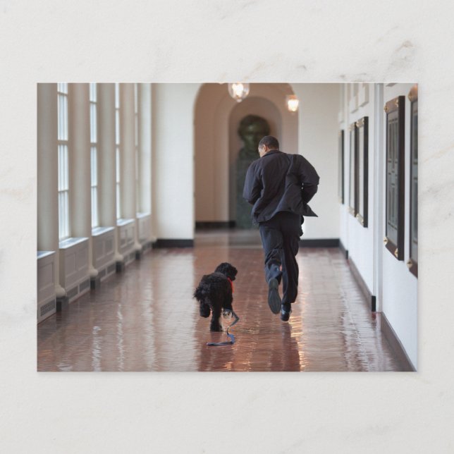 Barack & Bo Obama Postcard (Front)