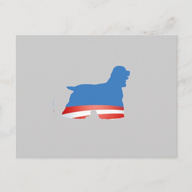 BARACKER SPANIEL POSTCARD (Front)