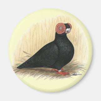 Barb Pigeon Standard Black Magnet
