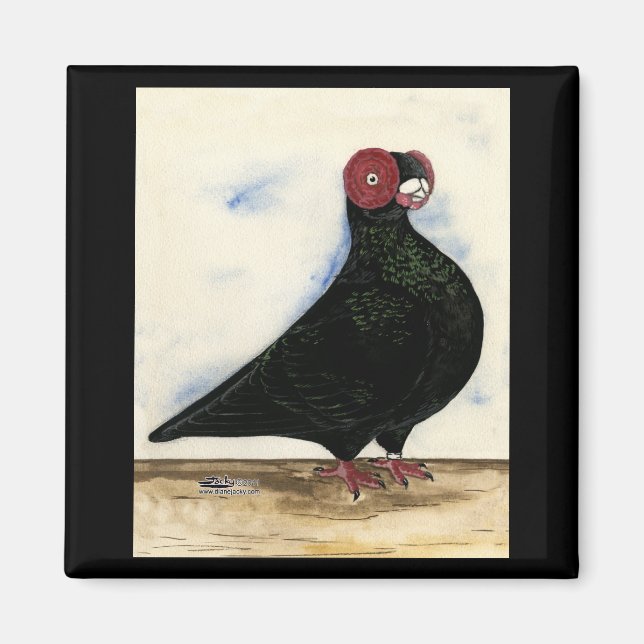Barb Pigeon Watercolor Magnet (Front)