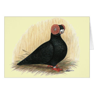 Barb:  Standard Black