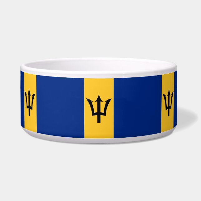Barbadian Flag (Barbados) (Bajan) (Front)