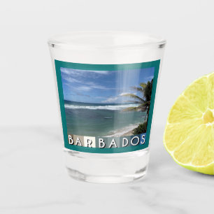 Barbados Beach Shot Glass