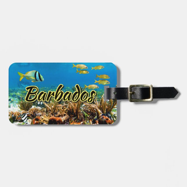 Barbados coral reef luggage tag (Front Horizontal)