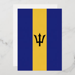 Barbados flag