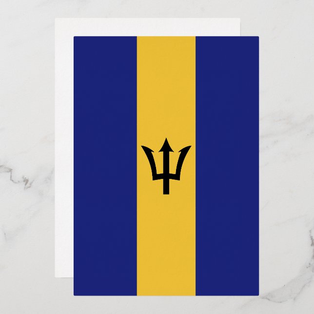 Barbados flag (Front/Back)