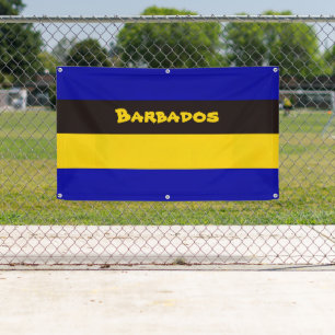 Barbados Flag Stripe Colours   Banner