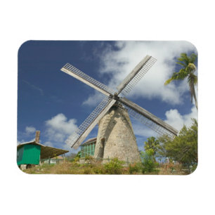 BARBADOS, North East Coast, Morgan Lewis: Morgan Magnet
