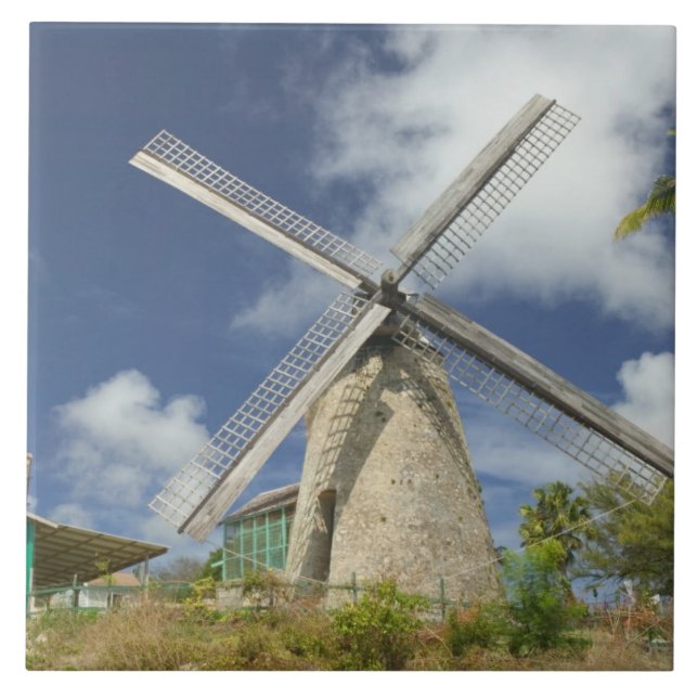 BARBADOS, North East Coast, Morgan Lewis: Morgan Tile (Front)