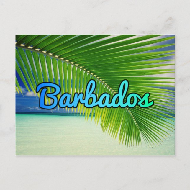 Barbados Postcard (Front)