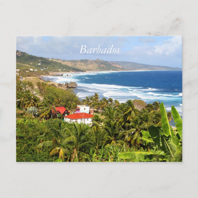 Barbados Postcard, Ocean, tropical trees Postcard (Front)