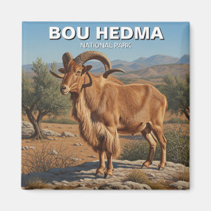 Barbary Sheep in Bou Hedma National Park Tunisia Magnet