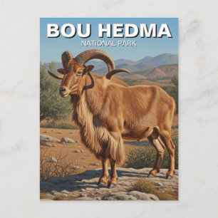 Barbary Sheep in Bou Hedma National Park Tunisia Postcard