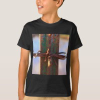 Barbed Wire and Rust Cross