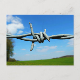 Barbed-Wire Fence Postcard