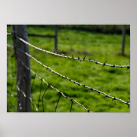 Barbed Wire Fence