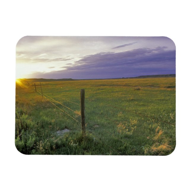 Barbed Wire Fenceline in northeastern Montana Magnet (Horizontal)
