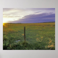 Barbed Wire Fenceline in northeastern Montana