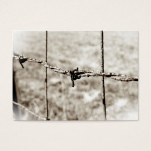 Barbed Wire Fencing (Sepia)