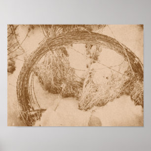 Barbed Wire in Winter Poster